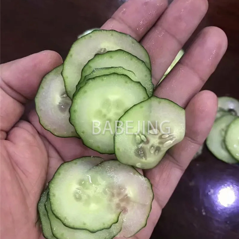 Electric Mini Scallion Chopper - Commercial Kitchen Appliance recension och pris